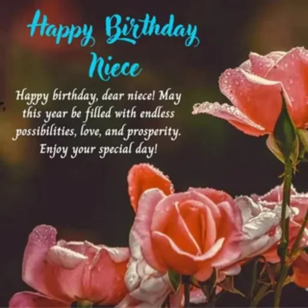 Romantic-Style Heartwarming Birthday Messages for Niece