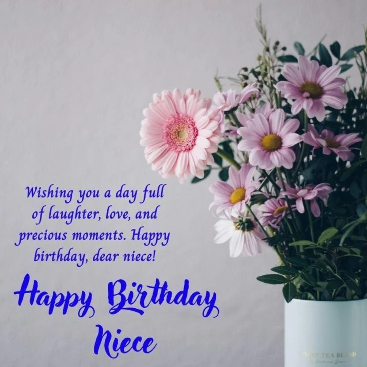 Touching Birthday Wishes for Niece to Make Her Feel Loved