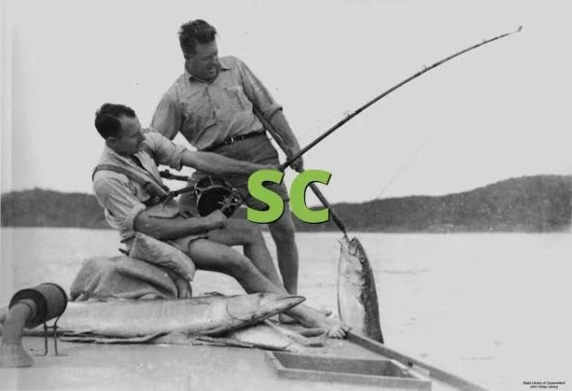 SC Meaning in Text: What Does “SC” Mean in Chat