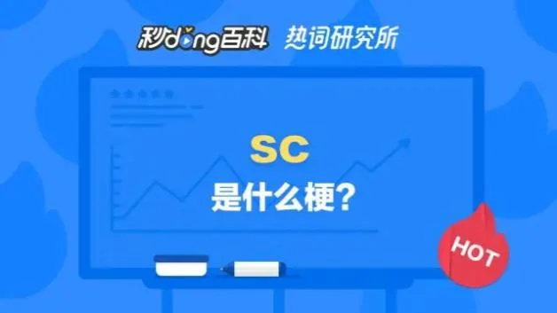 What Does SC Mean in Text & Chat